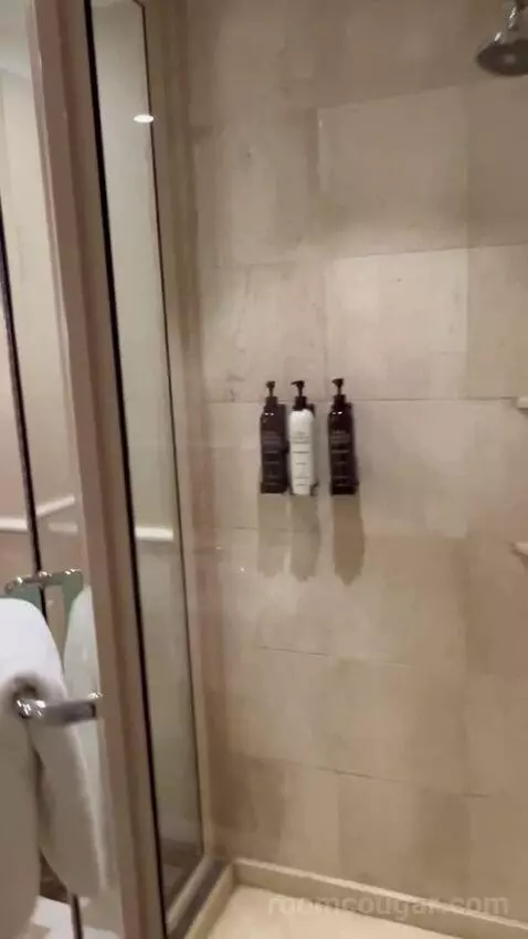 Executive Sydney Harbour King (#2112) bathroom picture #3