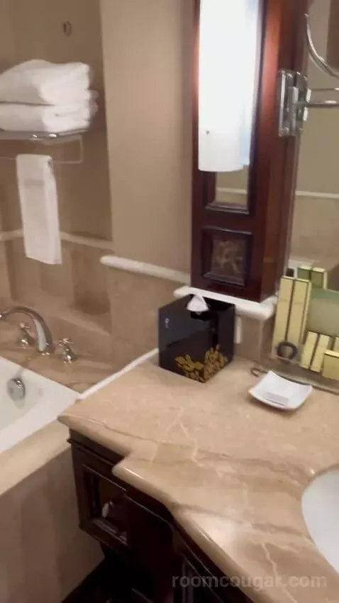 Executive Sydney Harbour King (#2112) bathroom picture #8