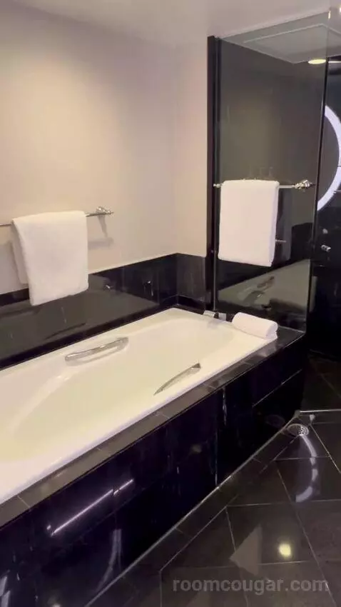 Grand Executive Room with Club Lounge Access - City Side (#608) bathroom picture #1