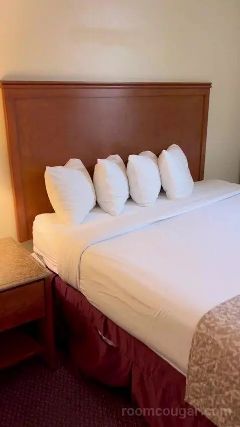 Standard Queen Room (#3145) bed picture #4