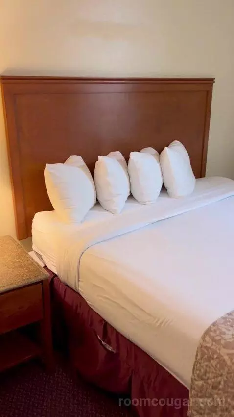 Standard Queen Room (#3145) bed picture #6