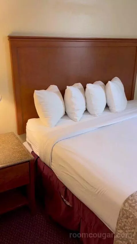 Standard Queen Room (#3145) picture #14