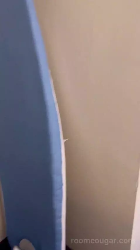 Standard Queen Room (#3145) picture #20