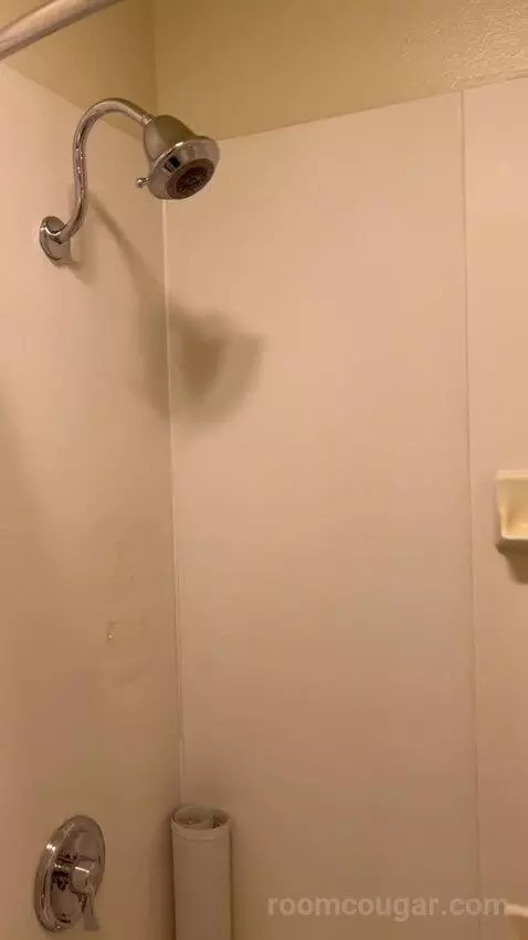 Standard Queen Room (#3145) bathroom picture #6