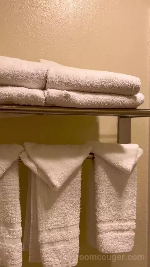 Standard Queen Room (#3145) picture #23