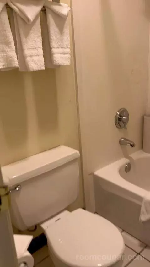 Standard Queen Room (#3145) picture #24