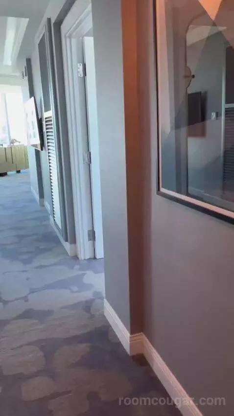 Panorama Suite Mountain View (#5501) picture #1