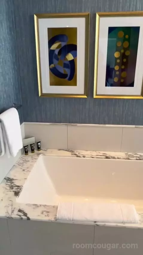 Panorama Suite Mountain View (#5501) picture #11