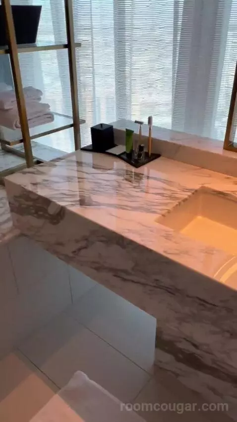 Panorama Suite Mountain View (#5501) bathroom picture #7