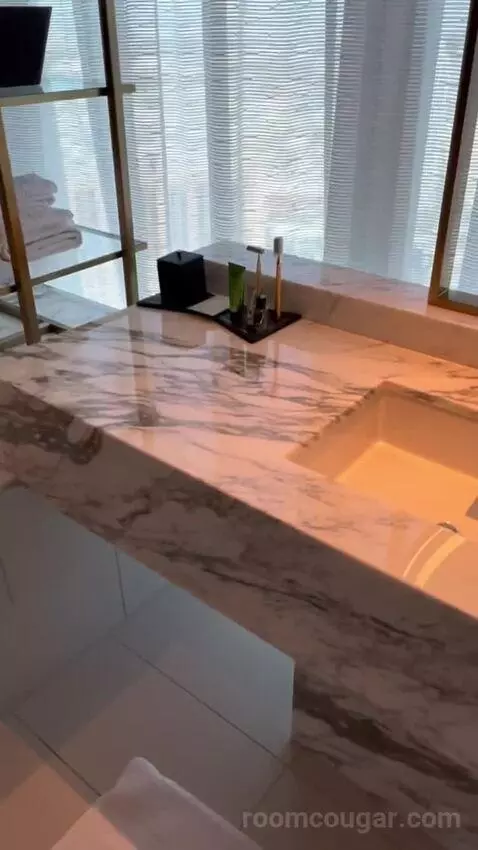 Panorama Suite Mountain View (#5501) bathroom picture #8