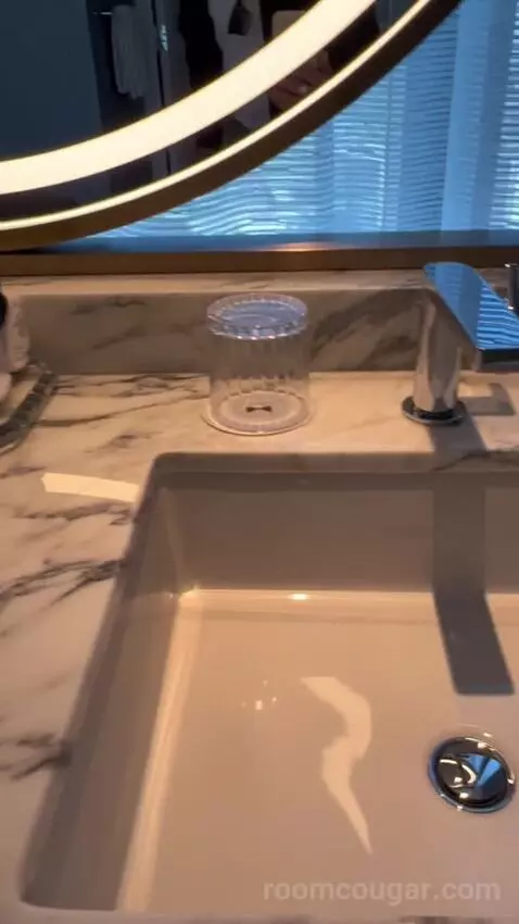 Panorama Suite Mountain View (#5501) picture #13