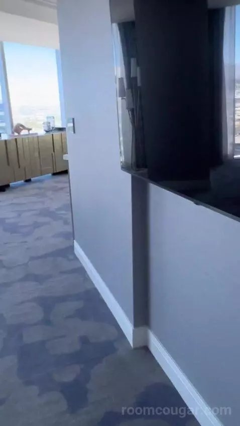 Panorama Suite Mountain View (#5501) picture #17