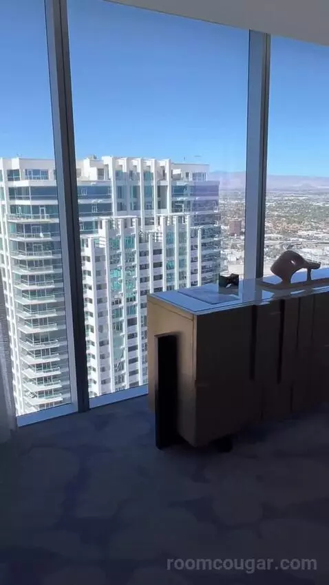 Panorama Suite Mountain View (#5501) view picture #4