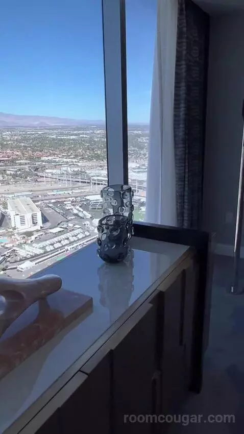 Panorama Suite Mountain View (#5501) picture #19