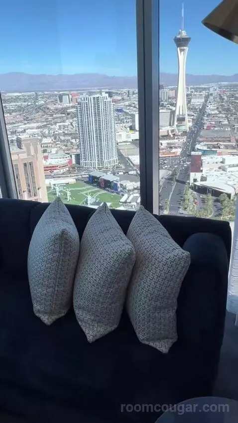 Panorama Suite Mountain View (#5501) view picture #6