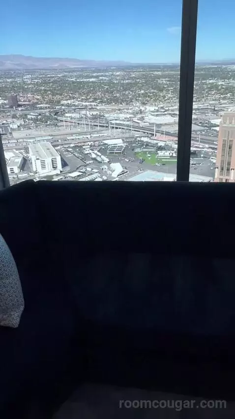 Panorama Suite Mountain View (#5501) picture #22