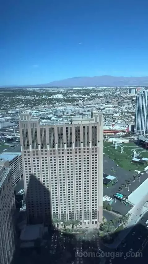 Panorama Suite Mountain View (#5501) view picture #3