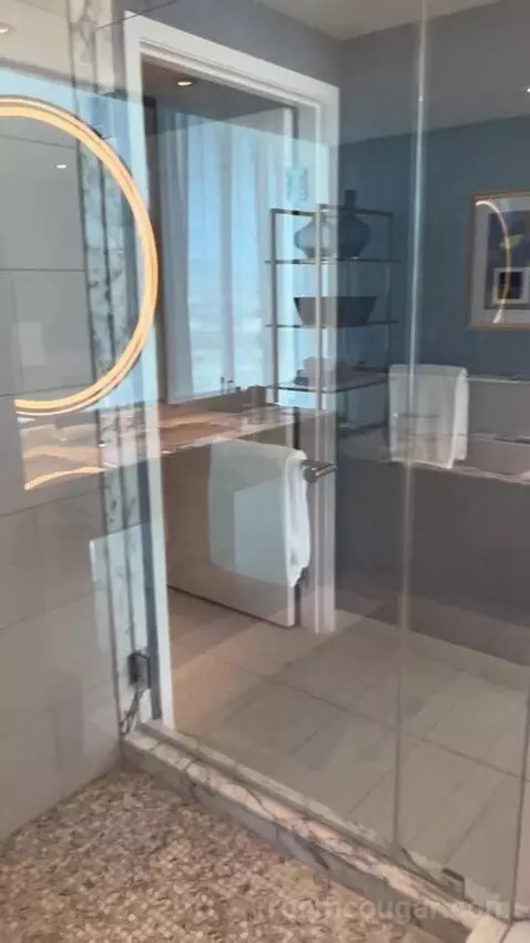 Panorama Suite Mountain View (#5501) picture #10