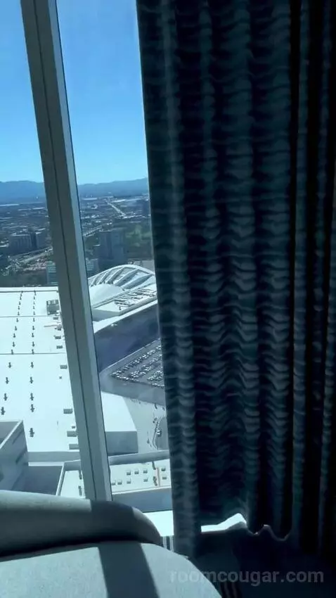 Gold King Strip View (#5545) picture #11