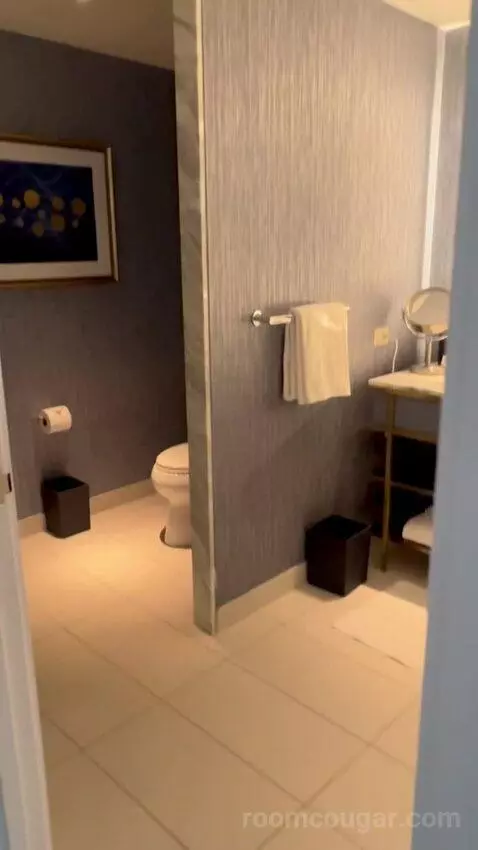 Gold King Strip View (#5545) bathroom picture #1