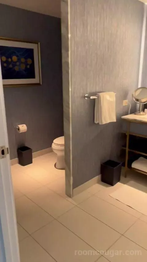 Gold King Strip View (#5545) bathroom picture #3