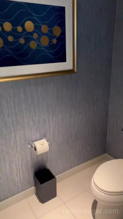 Gold King Strip View (#5545) bathroom picture #4