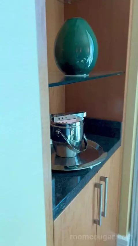 Deluxe King Room (#2808) picture #14