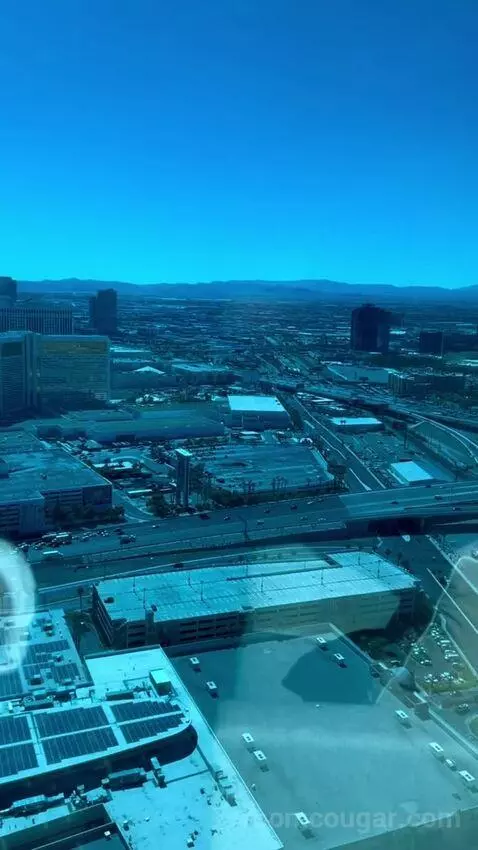 Deluxe King Room (#2808) picture #17