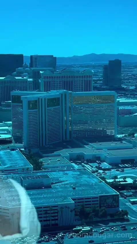 Deluxe King Room (#2808) picture #19