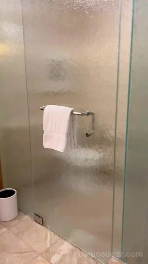 Deluxe King Room (#2808) bathroom picture #2