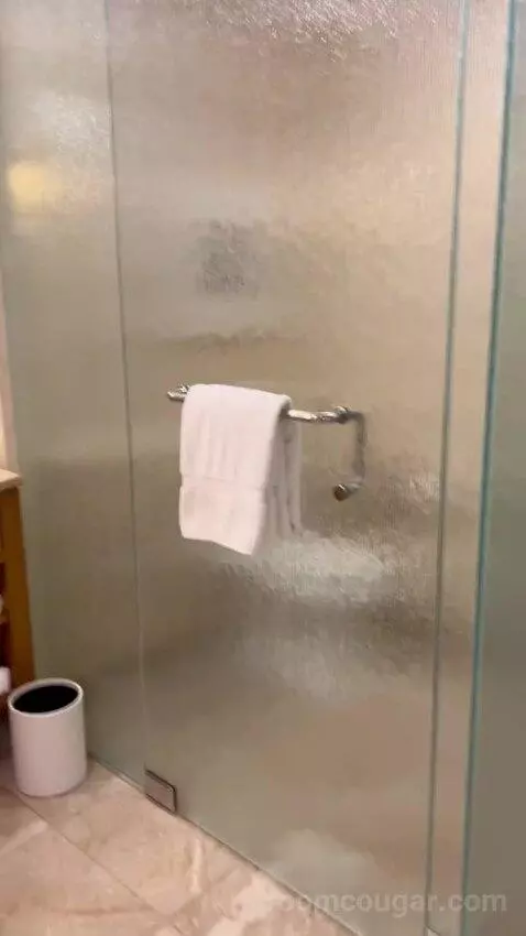 Deluxe King Room (#2808) bathroom picture #3