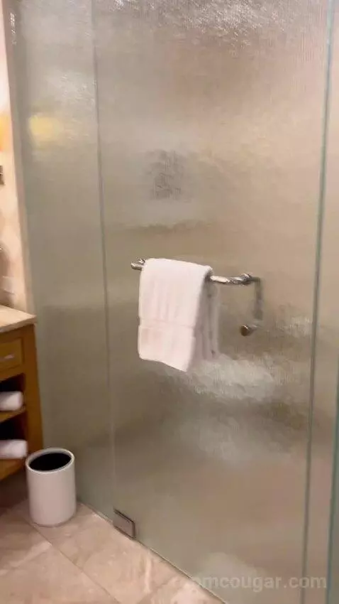 Deluxe King Room (#2808) bathroom picture #4