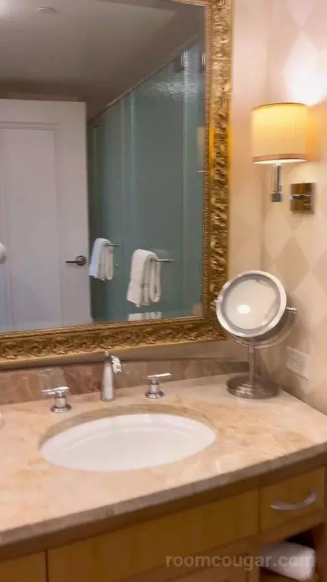 Deluxe King Room (#2808) bathroom picture #5