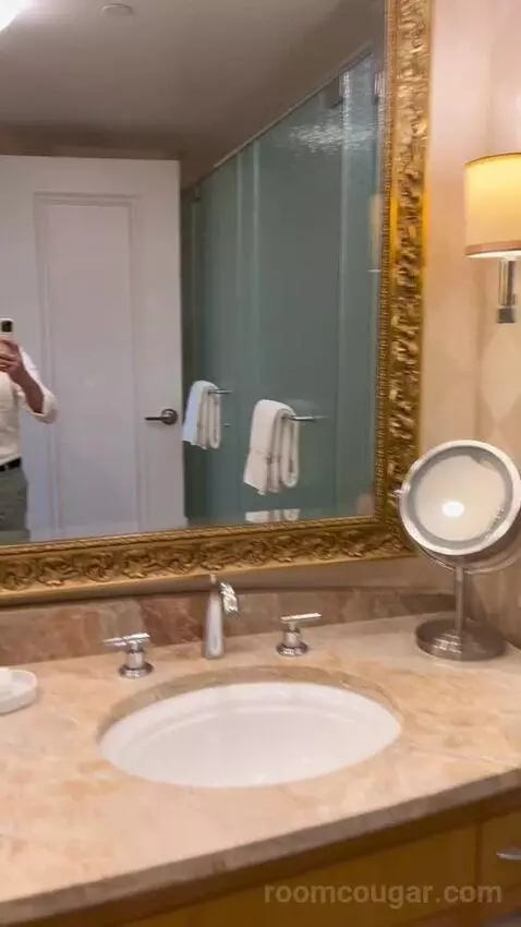 Deluxe King Room (#2808) bathroom picture #6