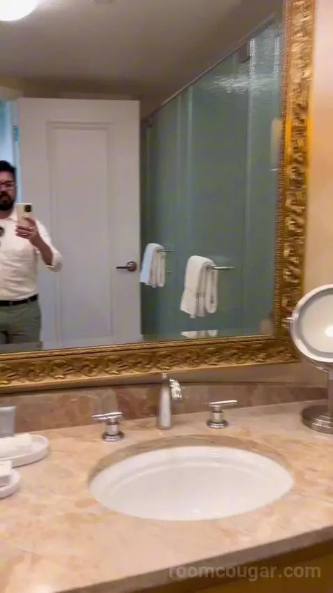 Deluxe King Room (#2808) bathroom picture #7