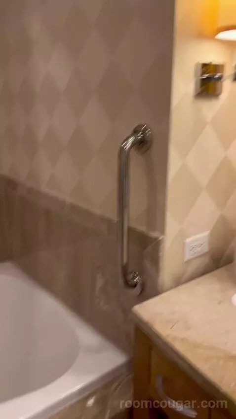 Deluxe King Room (#2808) bathroom picture #9