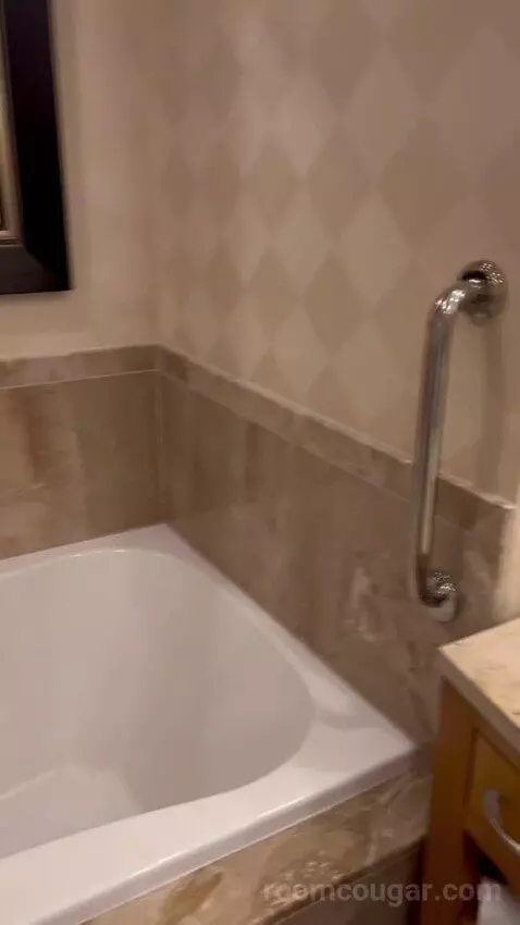 Deluxe King Room (#2808) bathroom picture #11