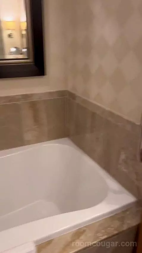 Deluxe King Room (#2808) bathroom picture #12