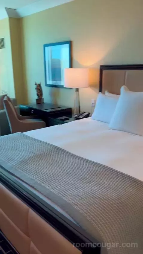 Deluxe King Room (#2808) picture #4