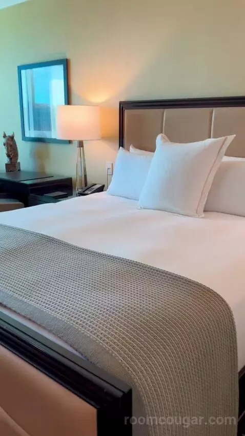 Deluxe King Room (#2808) bed picture #7