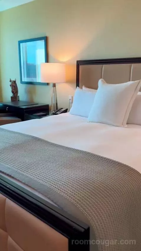 Deluxe King Room (#2808) bed picture #9