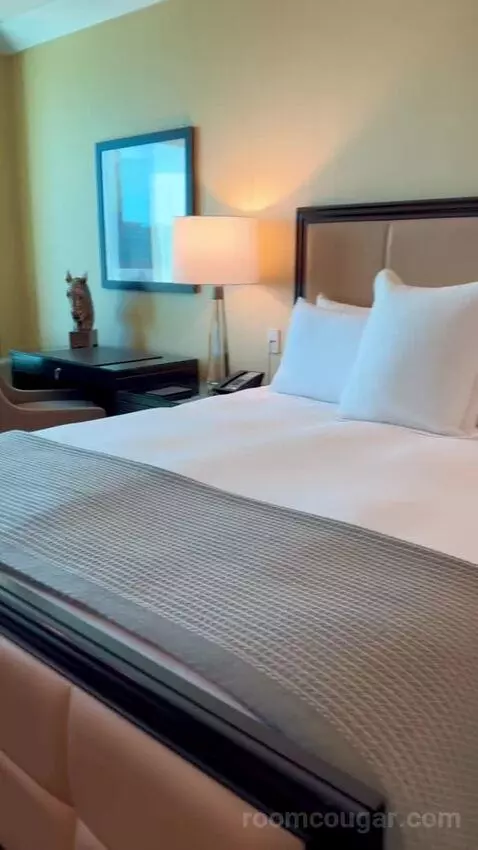 Deluxe King Room (#2808) bed picture #11