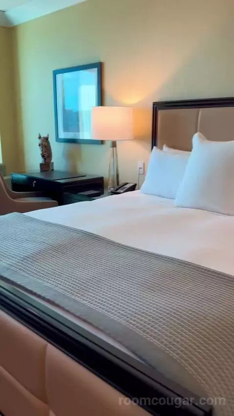 Deluxe King Room (#2808) bed picture #12