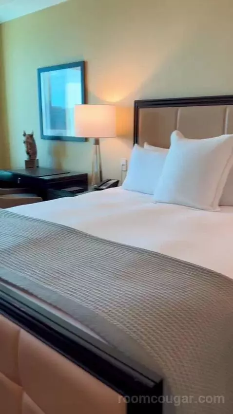 Deluxe King Room (#2808) picture #6