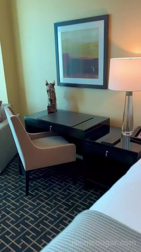 Deluxe King Room (#2808) picture #7