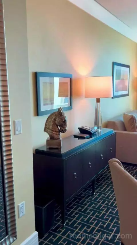 Deluxe Suite (#5806) picture #2