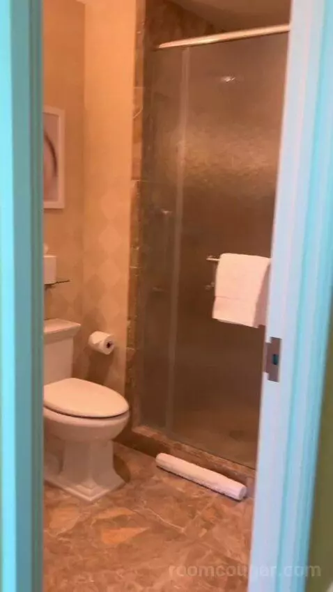 Deluxe Suite (#5806) bathroom picture #1