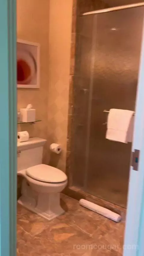 Deluxe Suite (#5806) bathroom picture #2