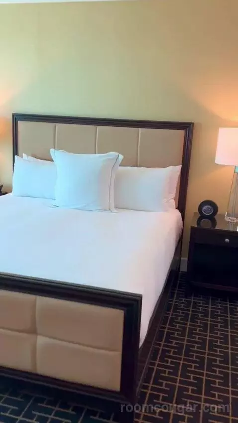 Deluxe Suite (#5806) bed picture #2