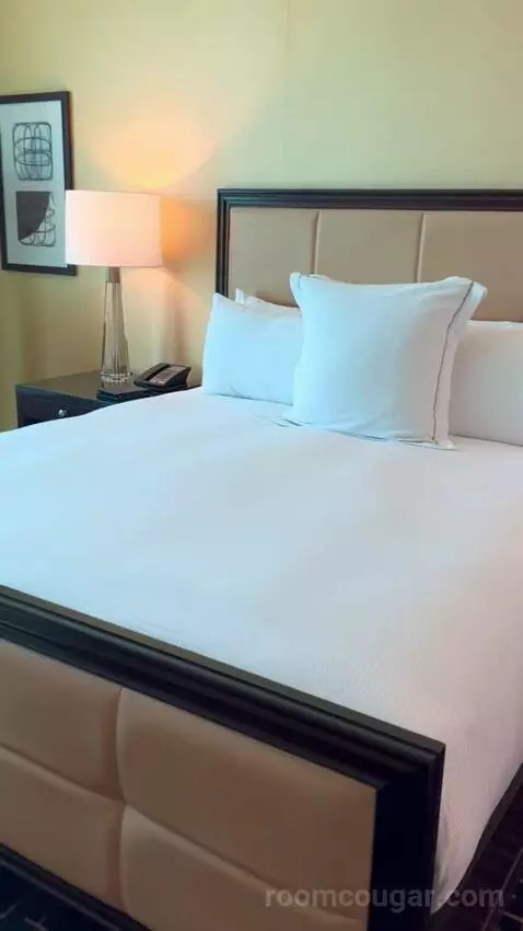 Deluxe Suite (#5806) bed picture #5